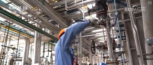 煉化工廠成鳥兒新家 綠色工業(yè)設(shè)計服務(wù)，盡顯工業(yè)之美